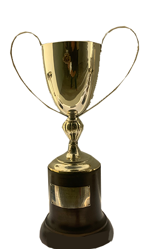Copa España