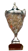 Liga Italia