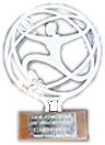 Liga femenina